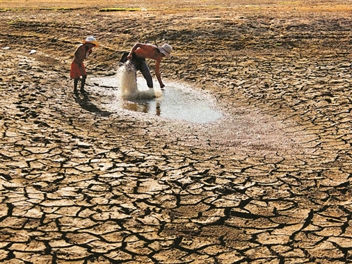 El Nino 2015: SOS cho nông nghiệp!