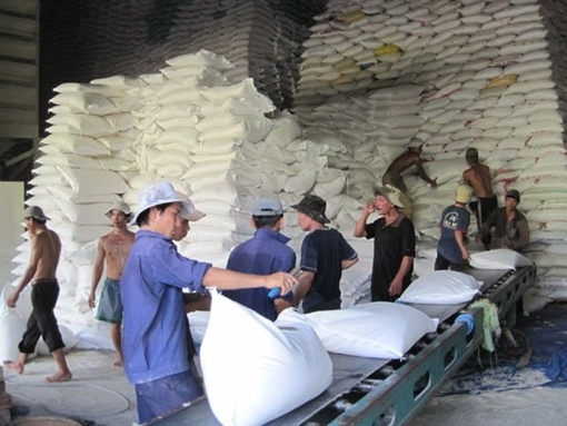 Indonesia đã chấp nhận nhập khẩu gạo từ Việt Nam và Thái Lan