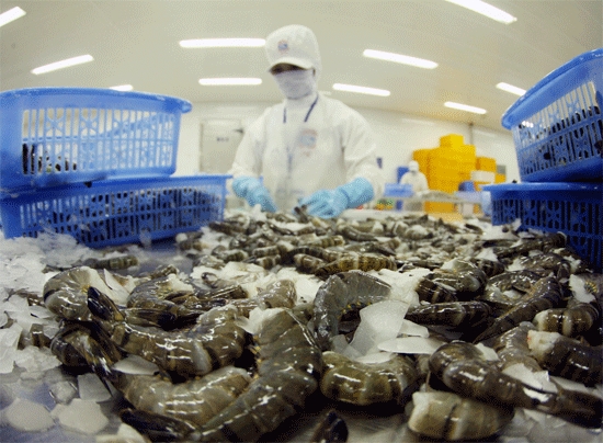 Vì sao 32.000 tấn tôm, cá Việt bị trả về?