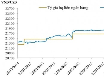 BVSC: Tỷ giá sẽ ổn định ở mặt bằng giá như hiện nay