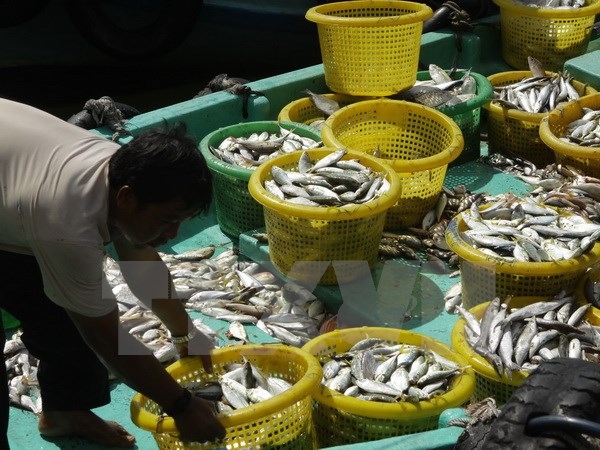Tập đoàn chế biến hải sản Thái Lan lập liên doanh tại Việt Nam