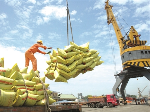 Gạo đồ: Mặt hàng xuất khẩu đầy hấp dẫn