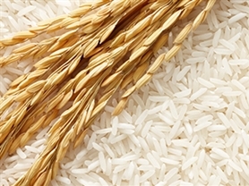 Doanh nghiệp xuất khẩu gạo đang mất lợi thế cạnh tranh về giá bán