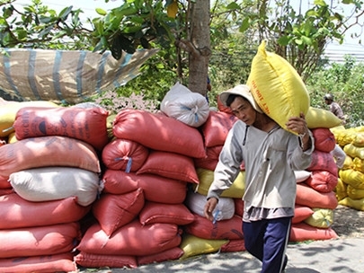 Thái Lan xả kho gạo khổng lồ, gạo Việt ‘nín thở’