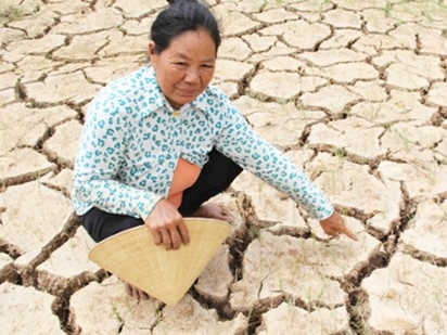 Việt Nam mất 15.000 tỷ đồng vì hạn hán, xâm ngập mặn lịch sử