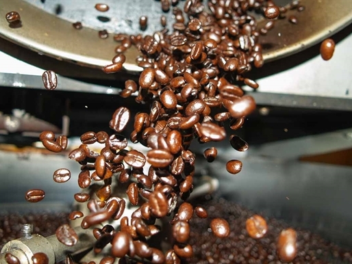 Tồn trữ cà phê Việt Nam giảm mạnh do giá lên