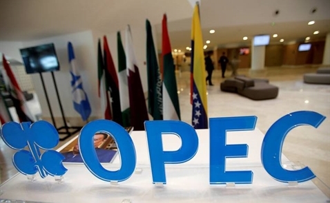 Giá dầu thoát đáy do tin tốt từ OPEC