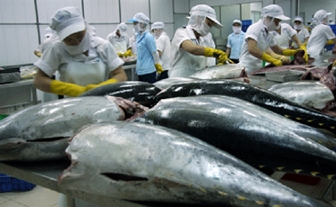 Xuất khẩu liên tục giảm, VASEP đề nghị gỡ khó cho cá ngừ sang Nhật