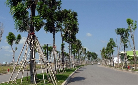 Đất phía Tây Sài Gòn tăng giá gấp đôi