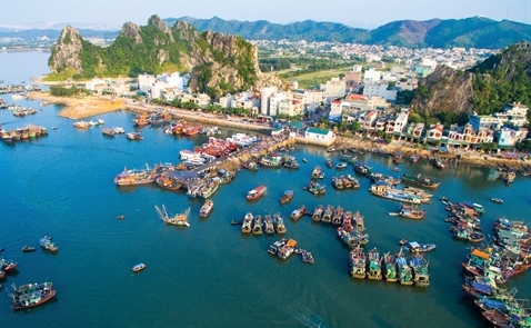 3 đặc khu kinh tế Việt Nam: Dọn tổ đón phượng hoàng?
