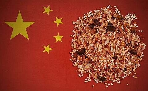 Vì sao Trung Quốc đi “thu gom” hạt giống khắp toàn cầu?