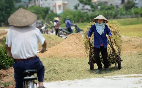 Fintech đang cải thiện cuộc sống người dân ASEAN như thế nào?