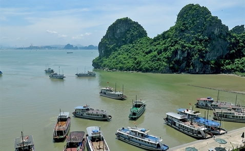 Du lịch Việt Nam sôi động ngày đầu năm