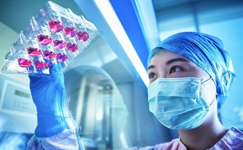 L’Oréal nuôi tế bào da của người Trung Quốc để thử sản phẩm mới