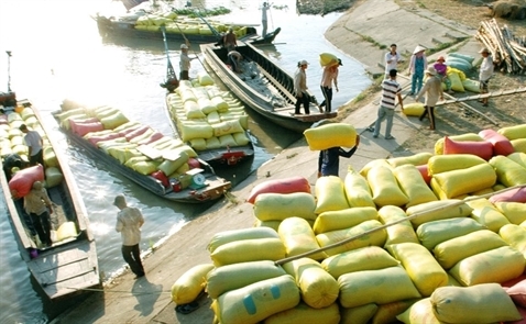 Vượt qua Thái Lan xuất khẩu gạo Việt xác lập đỉnh cao mới