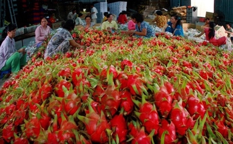 Nông sản Việt chinh phục thị trường xuất khẩu
