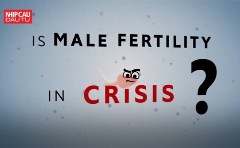 Khả năng sinh sản của đàn ông đang gặp khủng hoảng?