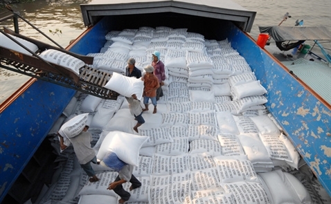 Hiệp hội Xuất khẩu gạo Việt Nam: Tại sao không?