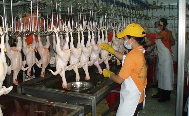 Thêm cơ hội xuất khẩu thịt gà chế biến sang Nhật Bản