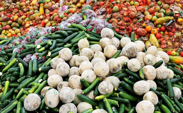 Đến năm 2030, hơn 2 tỷ tấn thực phẩm thừa bị vứt bỏ