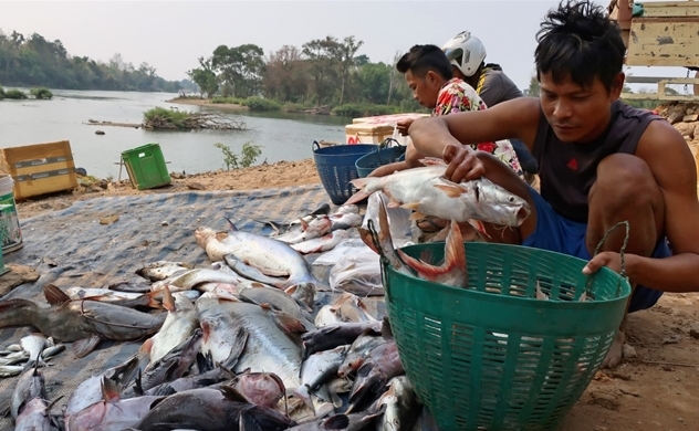 Tham vọng thủy điện của Lào đe dọa các làng chài Mê Kông