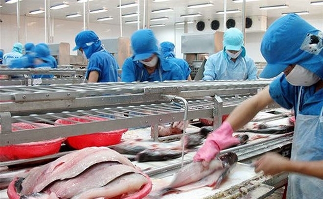 “Nữ hoàng cá” phá vỡ kỷ lục xuất khẩu trong tháng 7
