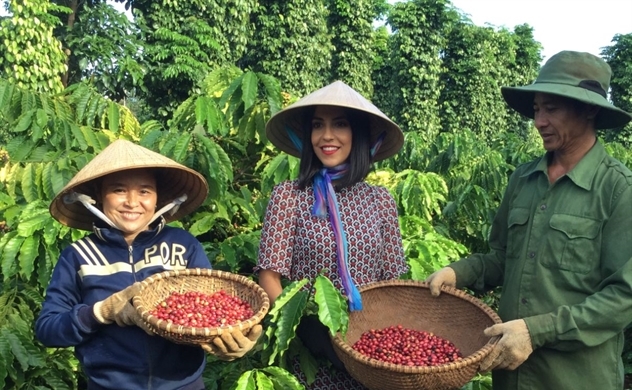 NESCAFÉ quảng bá cà phê Việt ra thế giới