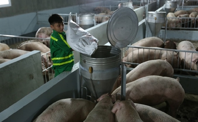 Bốn kiến nghị của EuroCham với ngành chăn nuôi Việt Nam
