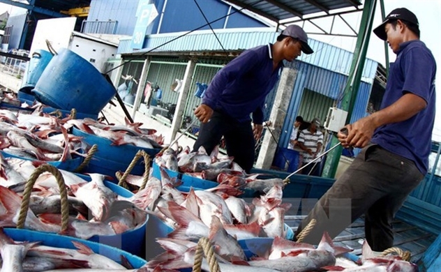 Doanh nghiệp cá tra “được mùa” lợi nhuận