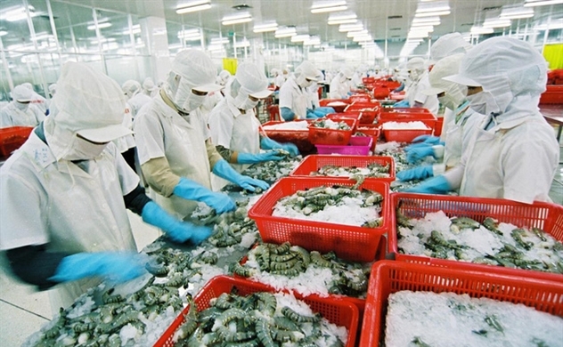 EVFTA: Đòn bẩy cho tôm Việt mở rộng thị phần tại EU