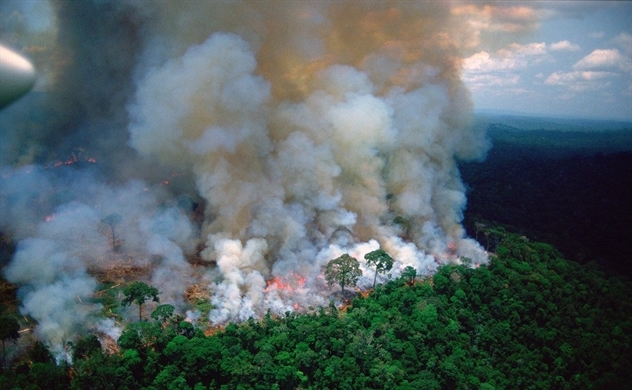 "Lá phổi xanh" của thế giới bốc cháy và sự phẫn nộ toàn cầu