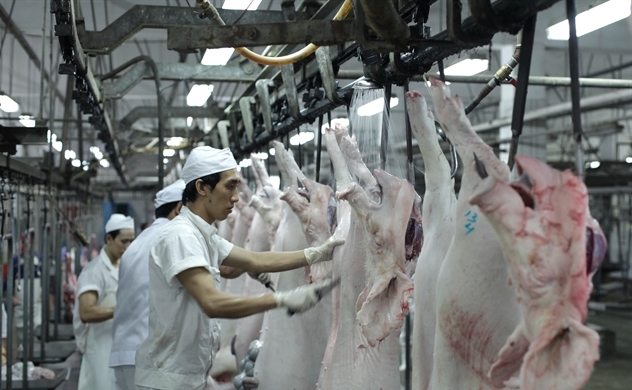 Thị trường thịt lợn hiện ra sao trước dịch tả?