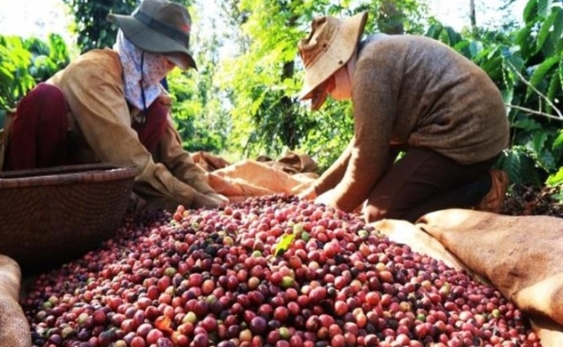 Phones, coffee sales drop cuts Vietnam’s October exports by 0.8%