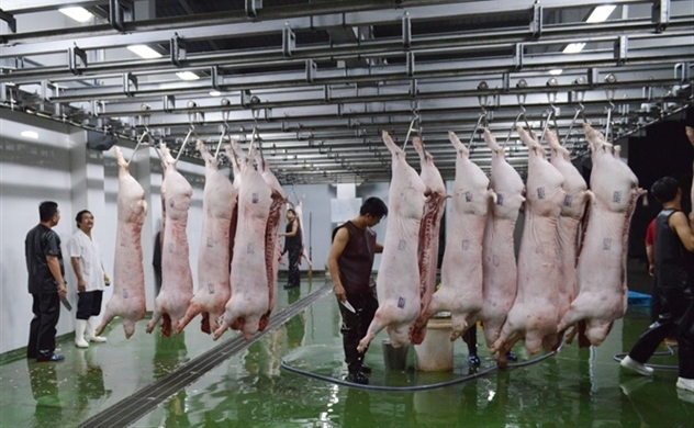 Thịt lợn sẽ được bán kiểu chứng khoán, khả thi hay không?