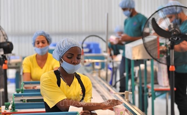 Thai Binh Group opens first Vietnamese factory in Cuba: VnEconomy