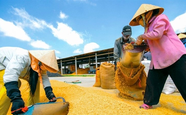 Vietnam's agriculture sector posts 11-month trade surplus of $8.8 billion