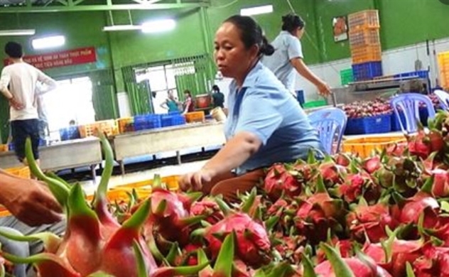 Vietnam’s trade revenue likely to hit $500 billion