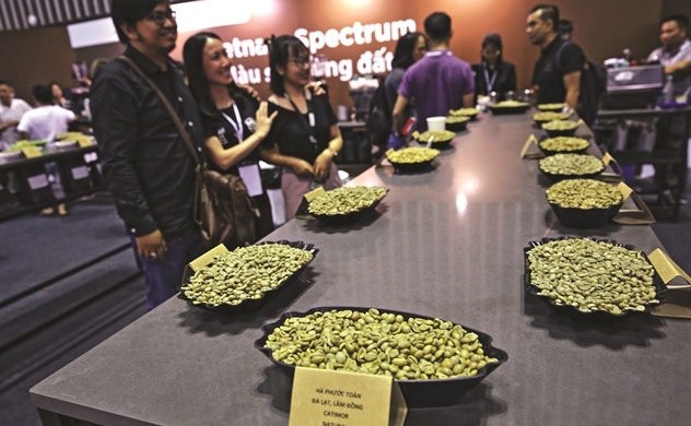 Cà phê Việt  rộng đường xuất ngoại