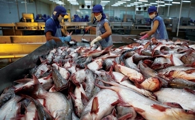 “Vua cá” Hùng Vương ngậm ngùi báo lỗ hàng trăm tỷ sau mục tiêu lãi đậm năm 2020