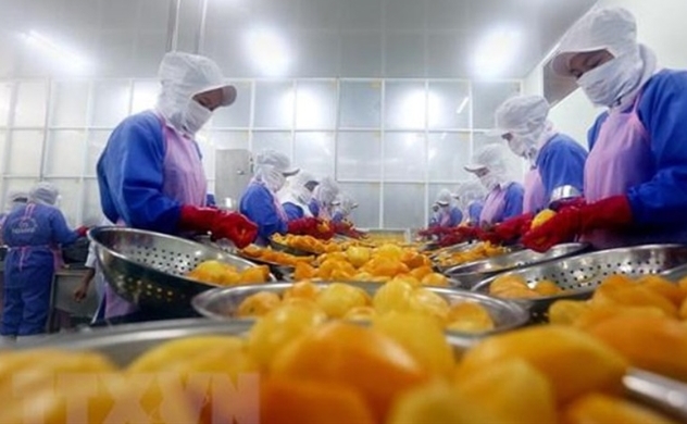 Vietnam’s exports fall 17.4% amid coronavirus fears