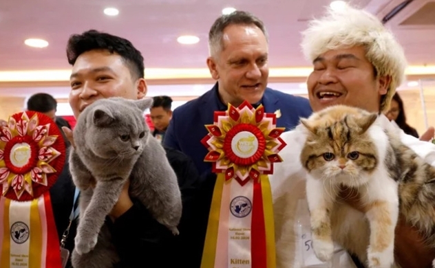 Cat show staged in Vietnam, where felines still seen as food