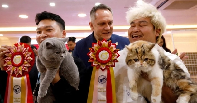 Cat Show Staged In Vietnam, Where Felines Still Seen As Food