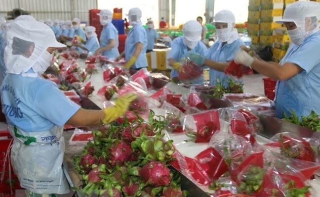 Agro-forestry-fishery sector runs trade surplus in two months