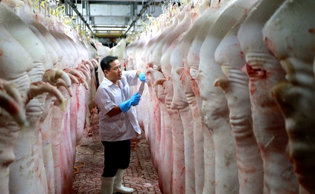 Vietnam 2020 inflation seen at 4.22% if pork prices can be cut