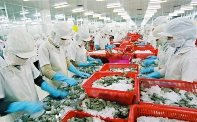 Vietnam says up to half of seafood export contracts cancelled, delayed due to coronavirus