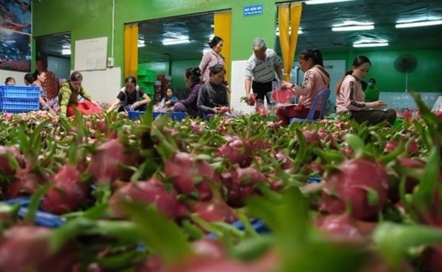 Vietnam reports a trade surplus at $2.8bln in first quarter despite public health crisis