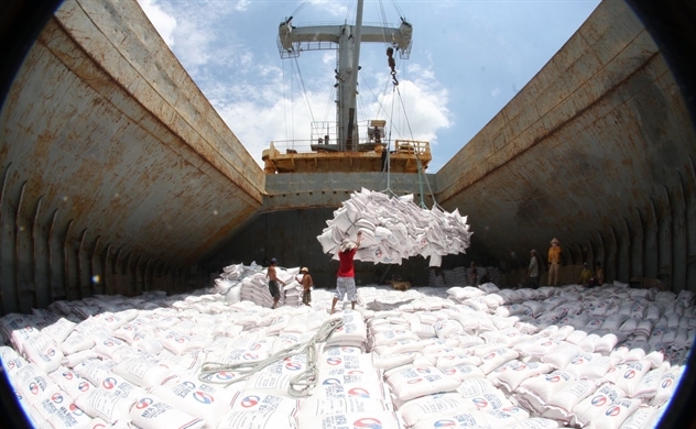 Vietnam’s prime minister orders to resume rice export but maintain food safety