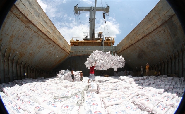 Vietnam’s prime minister orders to resume rice export but maintain food safety ads