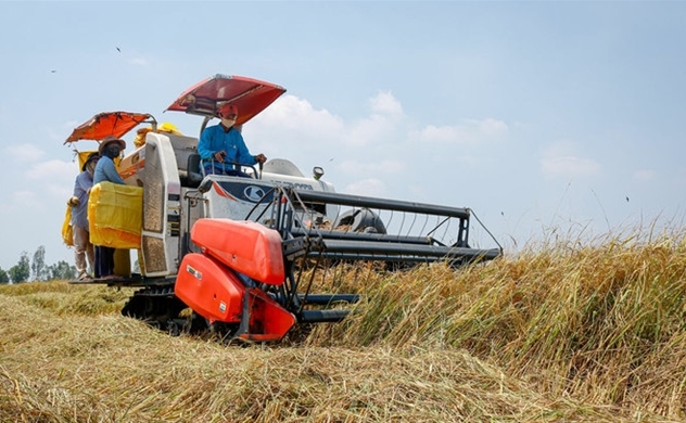 Vietnam scraps rice export limit