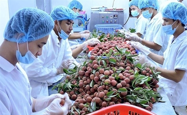 Agricultural sector gains $4.5bln trade surplus in 1H despite pandemic